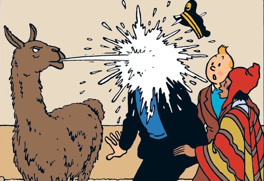 L’ONL part avec Tintin au bout du monde