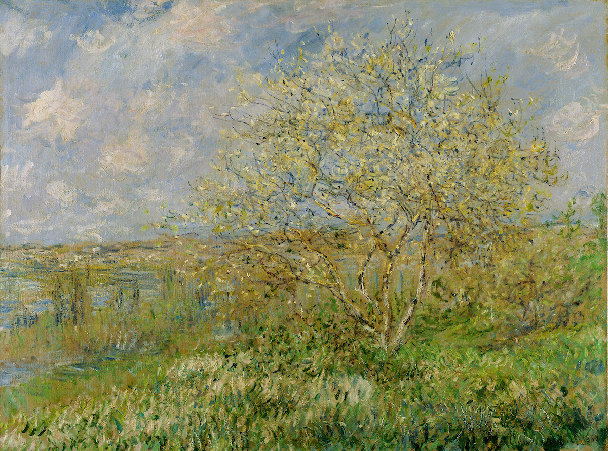 Monet vandalisé au musée des Beaux-Arts de Lyon