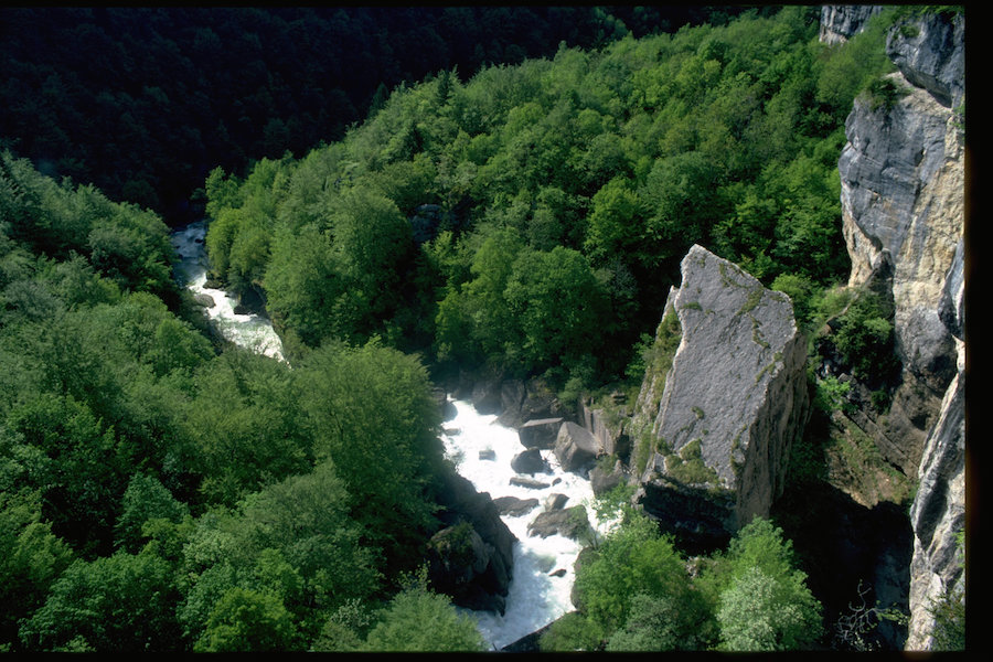 La Valse­rine, la rivière la plus sauvage de France