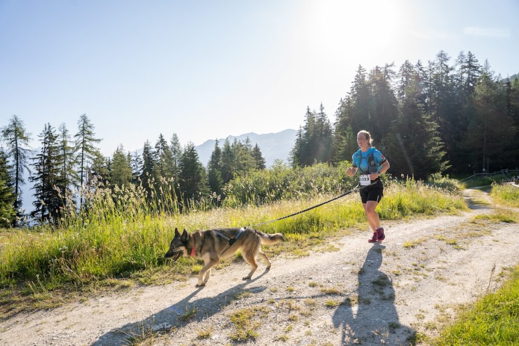 Canitrail : courir ou marcher en pleine nature avec son chien