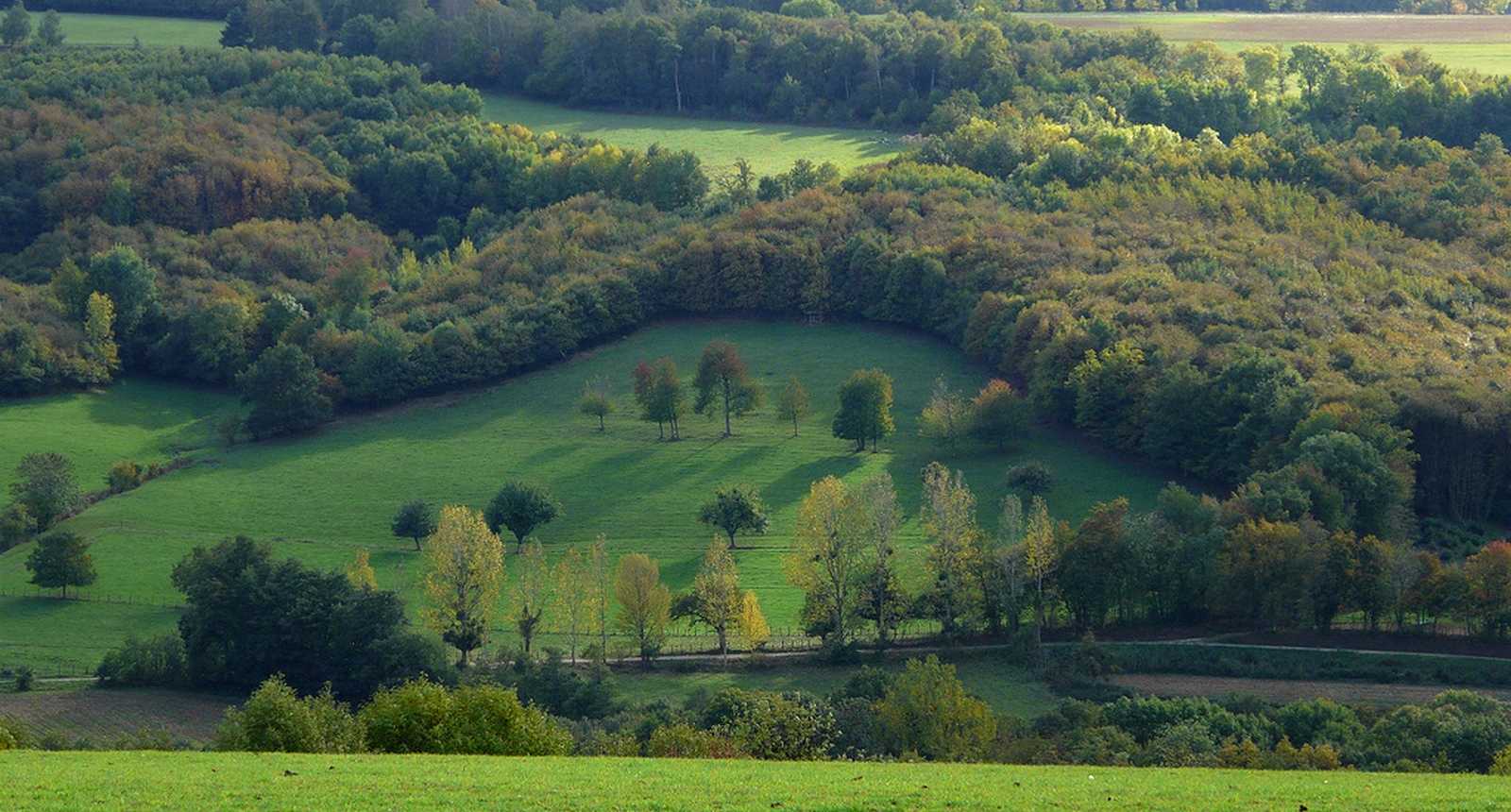 Lac, nature et patrimoine préservés en forêt de Chambaran