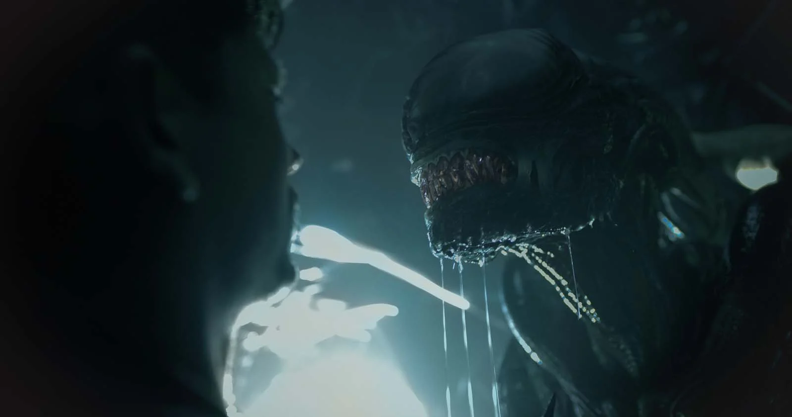Alien Romulus, ça gicle et ça bave un maximus… pour rien !